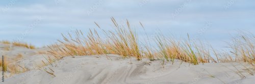 Sand dunes at sea on a cold autumn evening