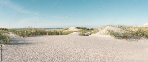 Paysage de dunes à la mer du Nord au Danemark - 901158326