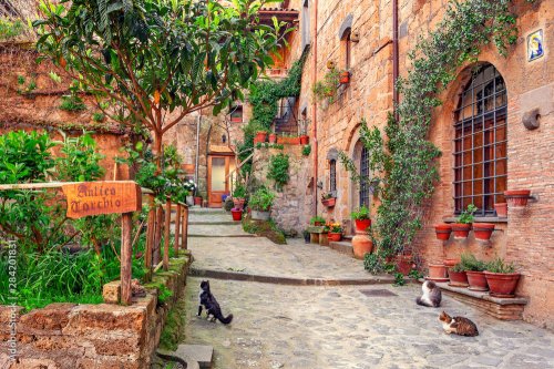 Little cats in a beautiful alley in Tuscany, Old town, Italy - 901158295