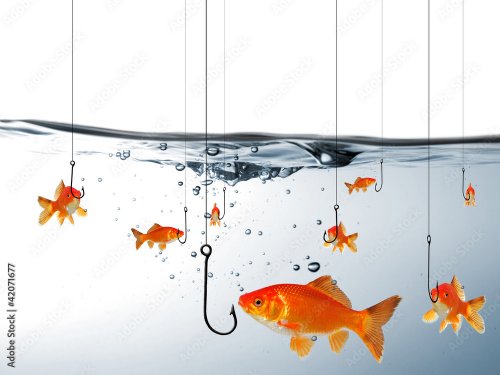 Fishes attracted by fishing hook - 901158308