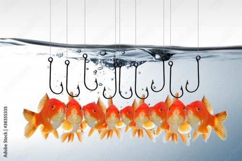Goldfish attracted by hooks - 901158307