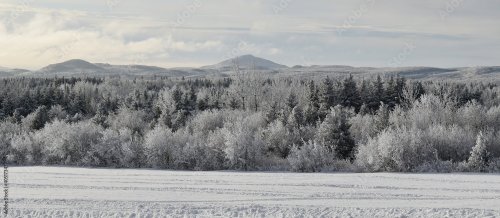 La forêt givrée des Appalaches, Sainte-Apolline, Québec, par Claude Laprise - 901158342