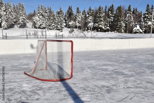 La patinoire un jour d'hiver, Sainte-Apolline, Québec, Canada par Claude Laprise - 901158346