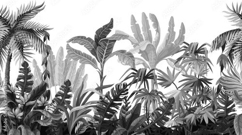 Seamless border with jungle trees in monochrome style. - 901158357