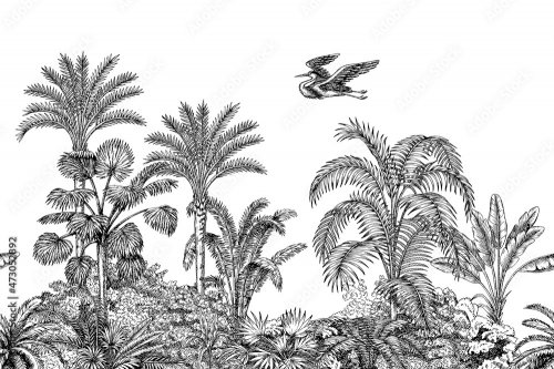 Tropical ink drawn palm trees, plant, bird summer floral seamless border - 901158359