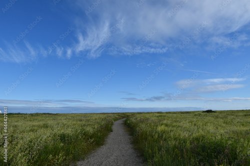 A path in the grass under a blue sky, Matane, Québec, Canada par Claude Laprise