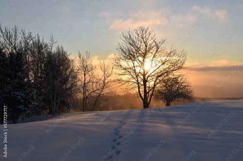A sunrise on a cold morning, Sainte-Apolline, Québec, Canada by Claude Laprise - 901158339