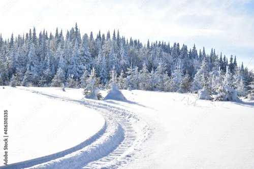 A snowmobile trail in the Appalachians, Quebec by Claude Laprise - 901158348