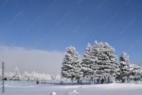 Une forêt givrée sous un ciel d'hiver, Sainte-Apolline, Québec, Canada par Cl... - 901158338