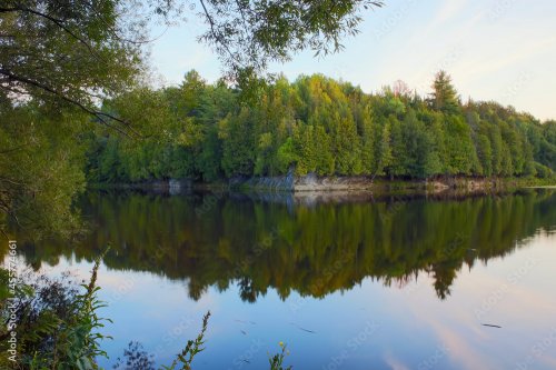 Rivière calme avec arbres et reflets naturels à...