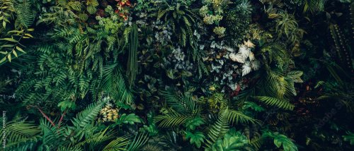 Fond de textures de feuilles vertes tropicales  - 901158480