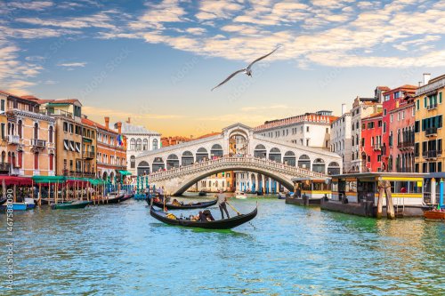 Mouette volant au dessus du pont du Rialto et gondolier à Venise, Italie - 901158465