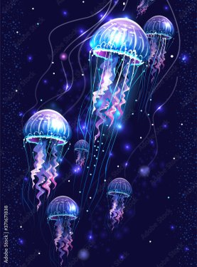 Glowing vivid transparent underwater jellyfishes - 901158710