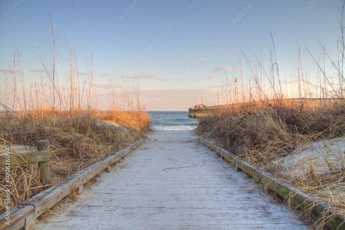 Boardwalk through dune grass to the Atlantic Ocean with a pier in the backgro... - 901158719