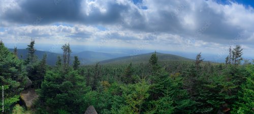 Aerial view of part of the Canadian forest in Quebec in the fall on the top of a mountain