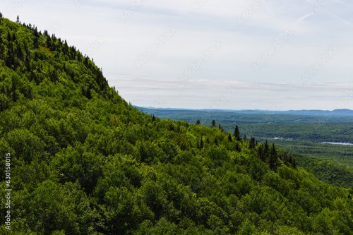 vue sur le sommet d'une montagne avec une forêt dans la vallée lors d'une journée grise d'été