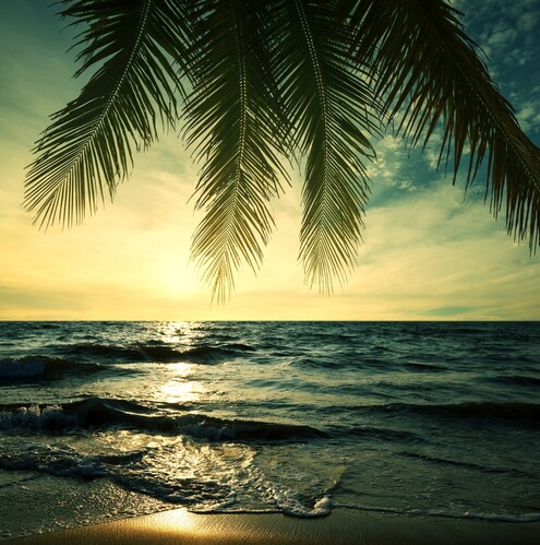 Tropical beach
